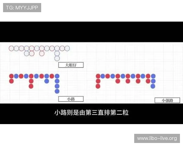 全面解析百家乐下三路图片的含义与应用技巧助你轻松掌握游戏节奏